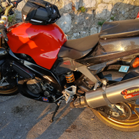 Aprilia Tuono