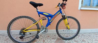 bicicletta da ragazzo 