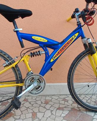 bicicletta da ragazzo 