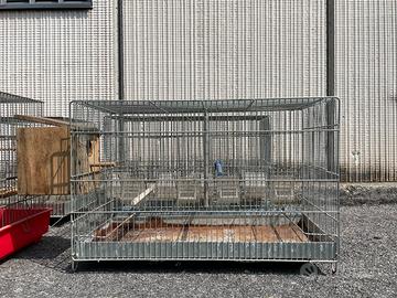 Gabbie per piccoli uccelli