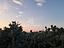 Immagine 28