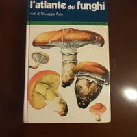 L'atlante dei funghi di Giuseppe Pace - Mondadori