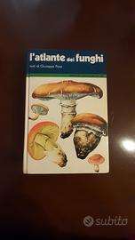 L'atlante dei funghi di Giuseppe Pace - Mondadori