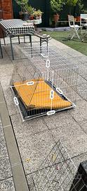 Kennel molto grande