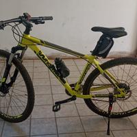 Mountain bike Whistle ruote da 29