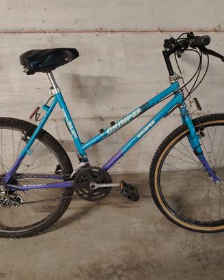 Bici raggio 26