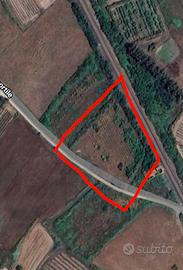 Terreno agricolo 3600 mq Marrubiu OR