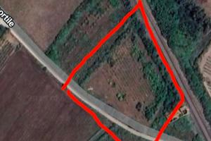 Terreno agricolo 3600 mq Marrubiu OR