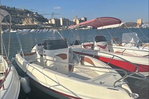 Blumax  motore 90cv evinrude