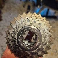 Pacco Pignoni 11 V Campagnolo Record.