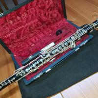 Oboe Patricola