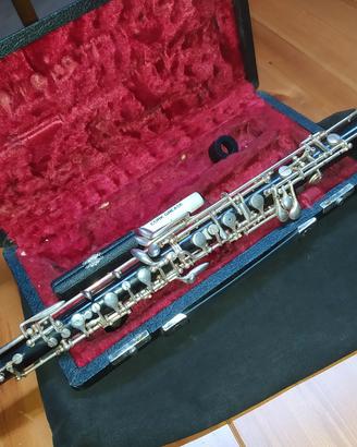 Oboe Patricola