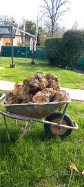 Rocce da giardino
