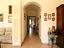 Immagine 11