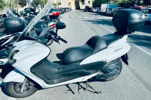 Majesty 400 abs bianco