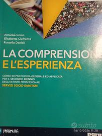 La comprensione e l'esperienza per secondo biennio