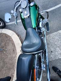 Softail Deluxe 2013 limited edition