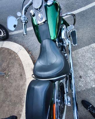 Softail Deluxe 2013 limited edition