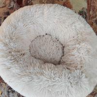 Cuccia nuova per cane o gatto tgM