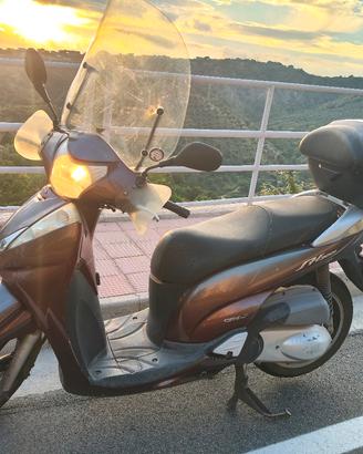 Honda Sh 300 