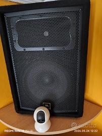 JBL jrx 212 più skytec pro 1000