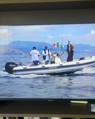 Tv samsung 55pollici