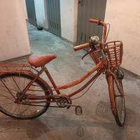 bicicletta in Bamboo