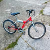 bicicletta