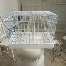 gabbie per uccelli