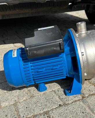 Pompa d'irrigazione Edera semi nuova