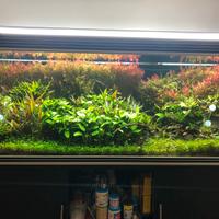 acquario 500 lt + tutti accessori di alta qualita