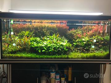 acquario 500 lt + tutti accessori di alta qualita