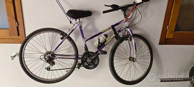 Mountain bike