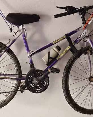 Mountain bike