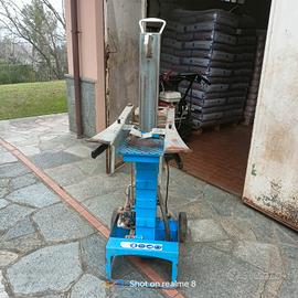 taglialegna elettrico