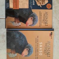 Libro Snaso animali fantastici
