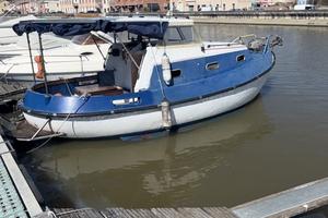 Pilotina Zampieri Gipsy