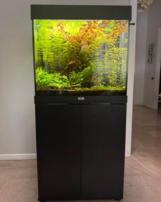 Acquario Juwel Lido 120 Completo + Luci RGB Smart