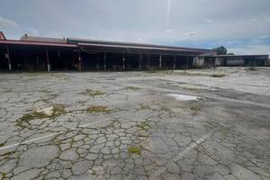 Immobile di 2117 m² con più di 5 locali a Ciampino
