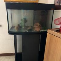 Acquario WAVE 120L