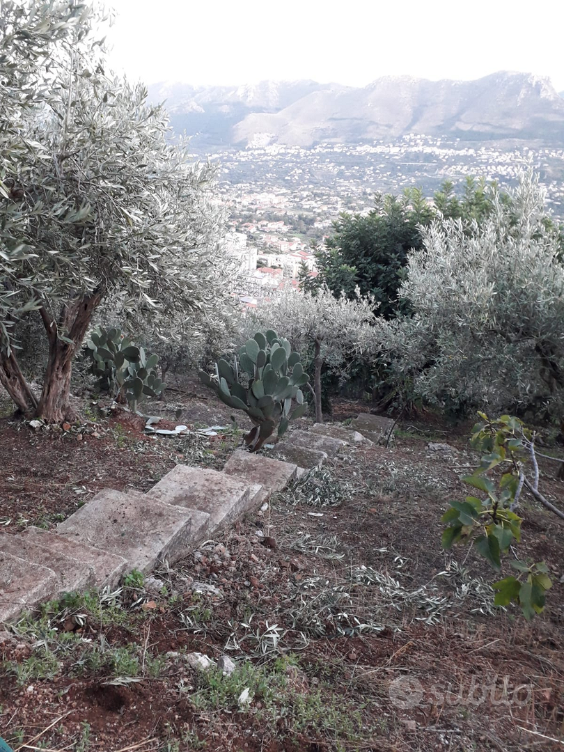 Terreno agricolo - Vista 3