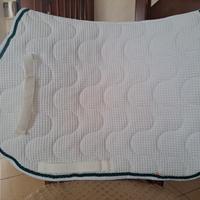 SOTTOSELLA BIANCO EQUILINE