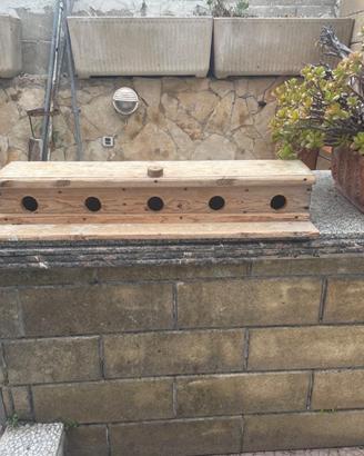 nido in legno