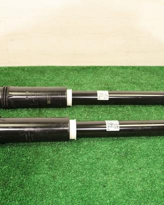 BMW serie 1 F70 Ammortizzatore posteriore - 27724