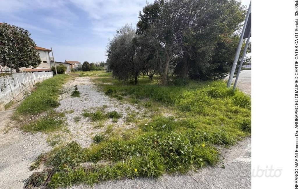 Immobile in asta di 3883 m² a Morro d'Oro - Vista 2