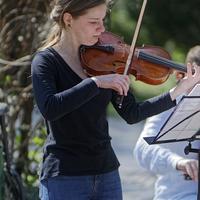 Violino per musica al matrimonio ed eventi