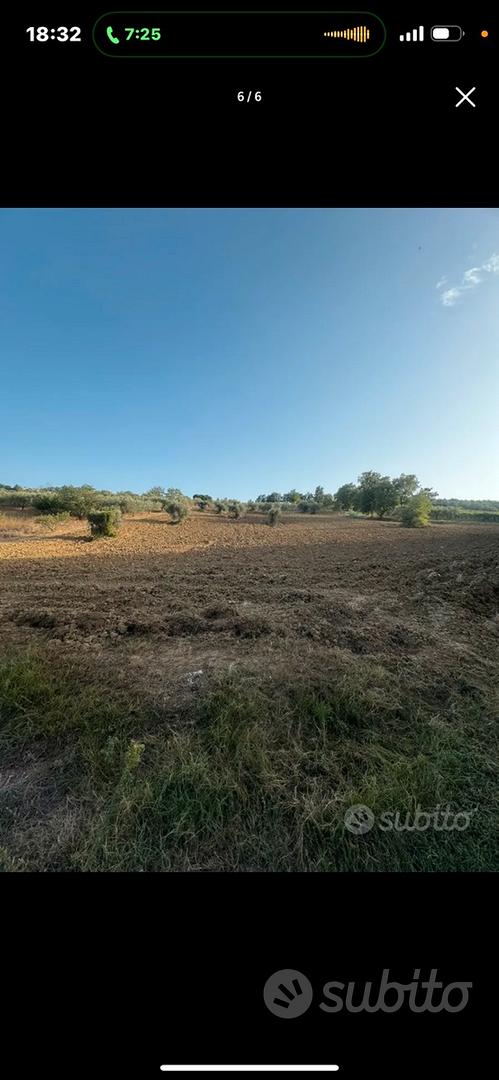 Terreno edificabile nella natura - Vista 2