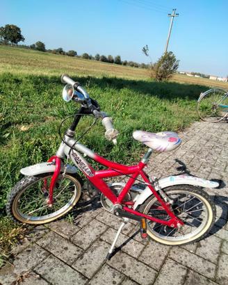 biciclettina