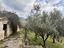 Immagine 18