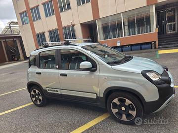 FIAT - Panda - 1.0 FireFly S&S Hybrid Launch Ed.